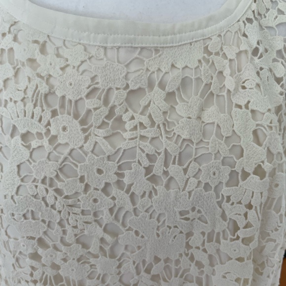 Ann Taylor Lace Dress - Picture 6 of 6